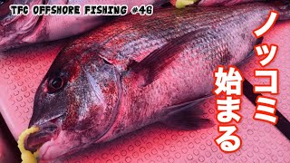 【タイラバ】アタリ連発の明石タイラバ。ノッコミ始まってます！おすすめのネクタイはこれだ！！　TFC offshore fishing #46