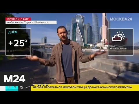 "Утро": юго-западный ветер будет дуть в столице 4 августа - Москва 24