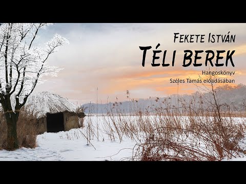 Fekete István: Téli