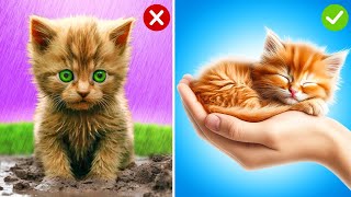 I Saved a Stray Kitten And Build New Secret House 🐱🏠 *Mega Gadgets And Tricks For Pets*