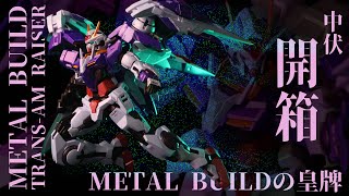 [中伏開箱] METAL BUILD TRANS-AM RAISER METAL BUILD ... 