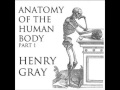 Anatomy of the Human Body (FULL Audiobook) - part (1 of 39)