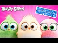 Angry Birds Hatchling Hatchies | Peace 💖