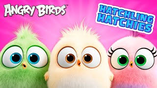 Angry Birds Hatchling Hatchies | Peace 💖