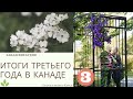 Итоги третьего года в Канаде