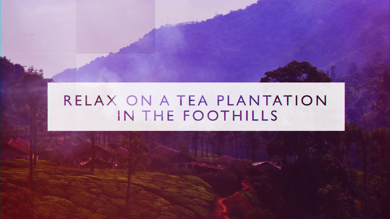 Experts in South India | South India Adventure Tours