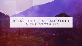 Experts in South India | South India Adventure Tours screenshot 1