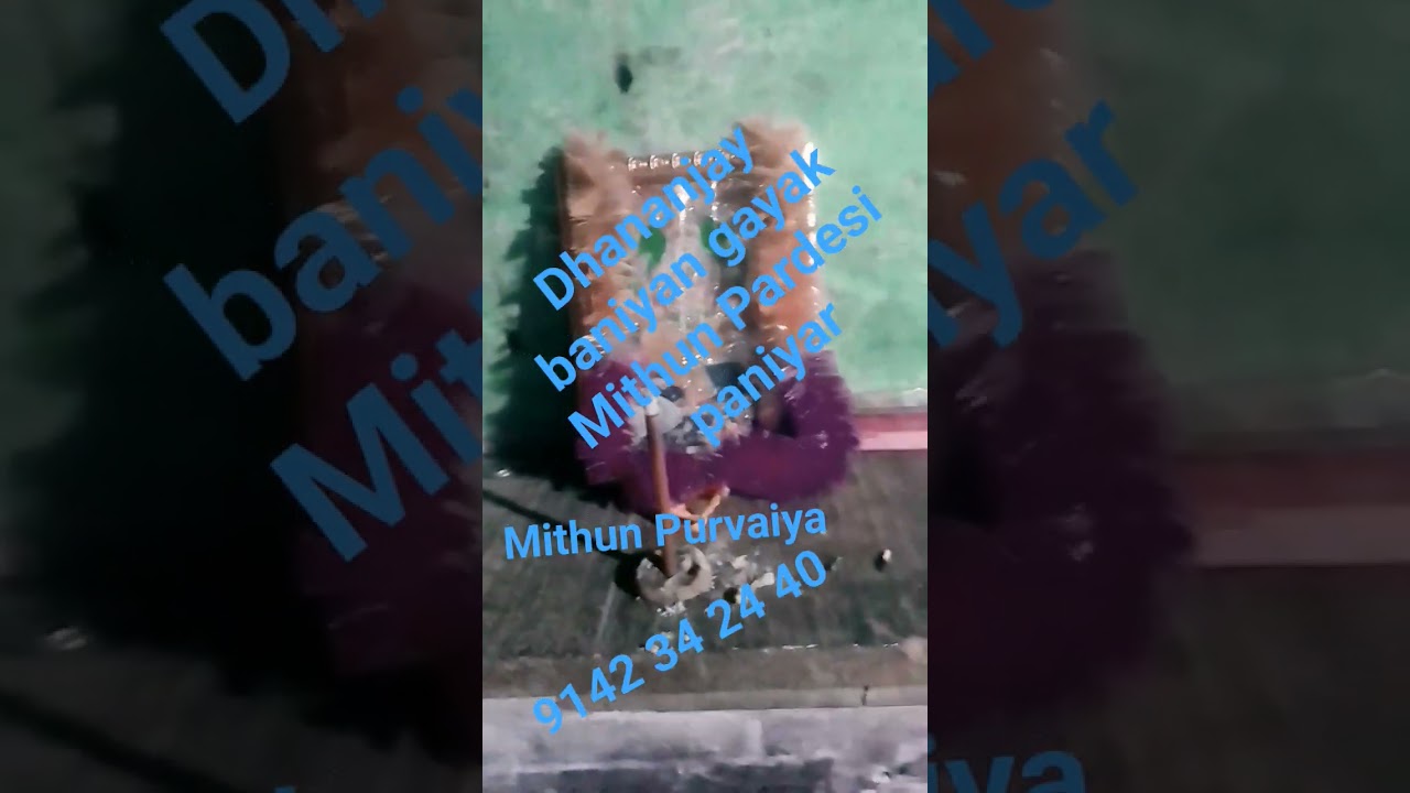 Dhananjay paniyar ka ek Mithun paper De Diye player