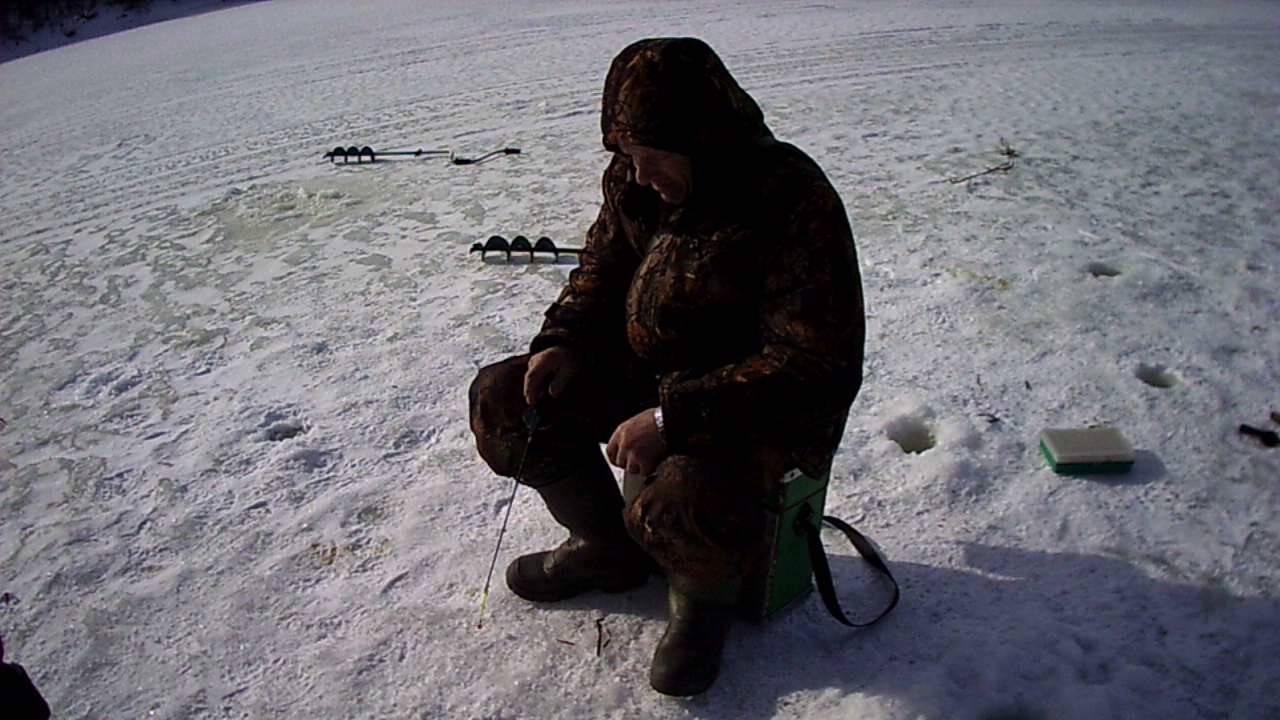 Застава у оки велегож