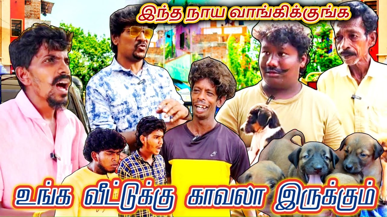 தெரு நாயை வெளிநாட்டு நாயின்னு சொல்லி விற்க்கப் பார்த்த அப்பா மகன் | Fun Torture