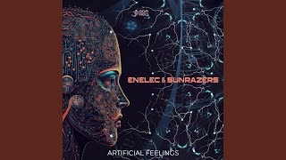 Artificial Feelings
