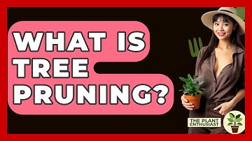 What Is Tree Pruning? - The Plant Enthusiast