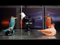 Iittala + Oiva Toikka's Birds Live Streamed Demonstration