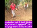 New Problem of 21st Century ಹಾದಿ, ಬೀದಿಯ ಹುಲ್ಲು ಕೂಡಾ ಹಿಂದೆ ಖಾಲಿಯಾಗುತ್ತಿತ್ತು; Now no one needs it