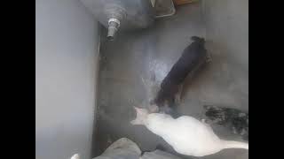 VID 20201215_144136