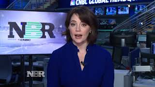 Criminal Probe on Opioid Makers?