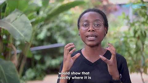 A Campus Navigation System