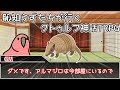 恥知らずたちが行くクトゥルフ神話TRPG～狂親者～　part２#クトゥルフ神話TRPG#ゆっくりTRPGリプレイ
