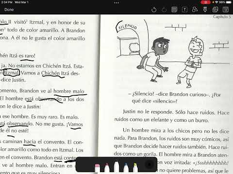 Brandon Brown vs. Yucatán reading of CH 5