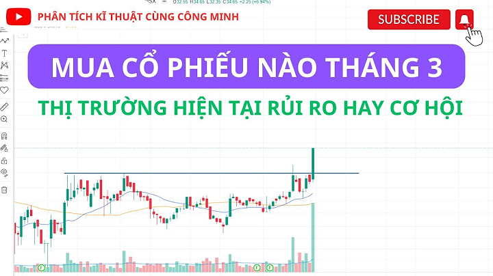 Các chưng tu nào cân dấu của công ty năm 2024