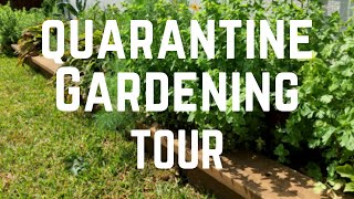 Quarantine Gardening Tour in Texas in April