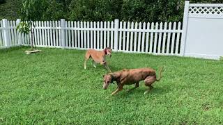 Billy and Brandy having a good time.