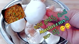 ? మష్రూమ్ కర్రీని ఇలా చేస్తే రుచి ?| Mushroom Masala Gravy Curry Recipe In Telugu| Mushroom Recipes