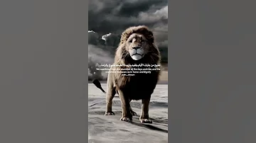 نطيح من عثرات الايام ونقوم وتزيدنا الطيحة شموخ وكرامة 