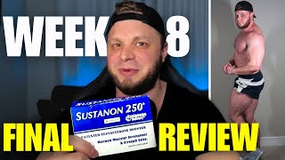 Prohormone: Sustanon 250 (4andro) FINAL Review l WEEK 8 - Recap