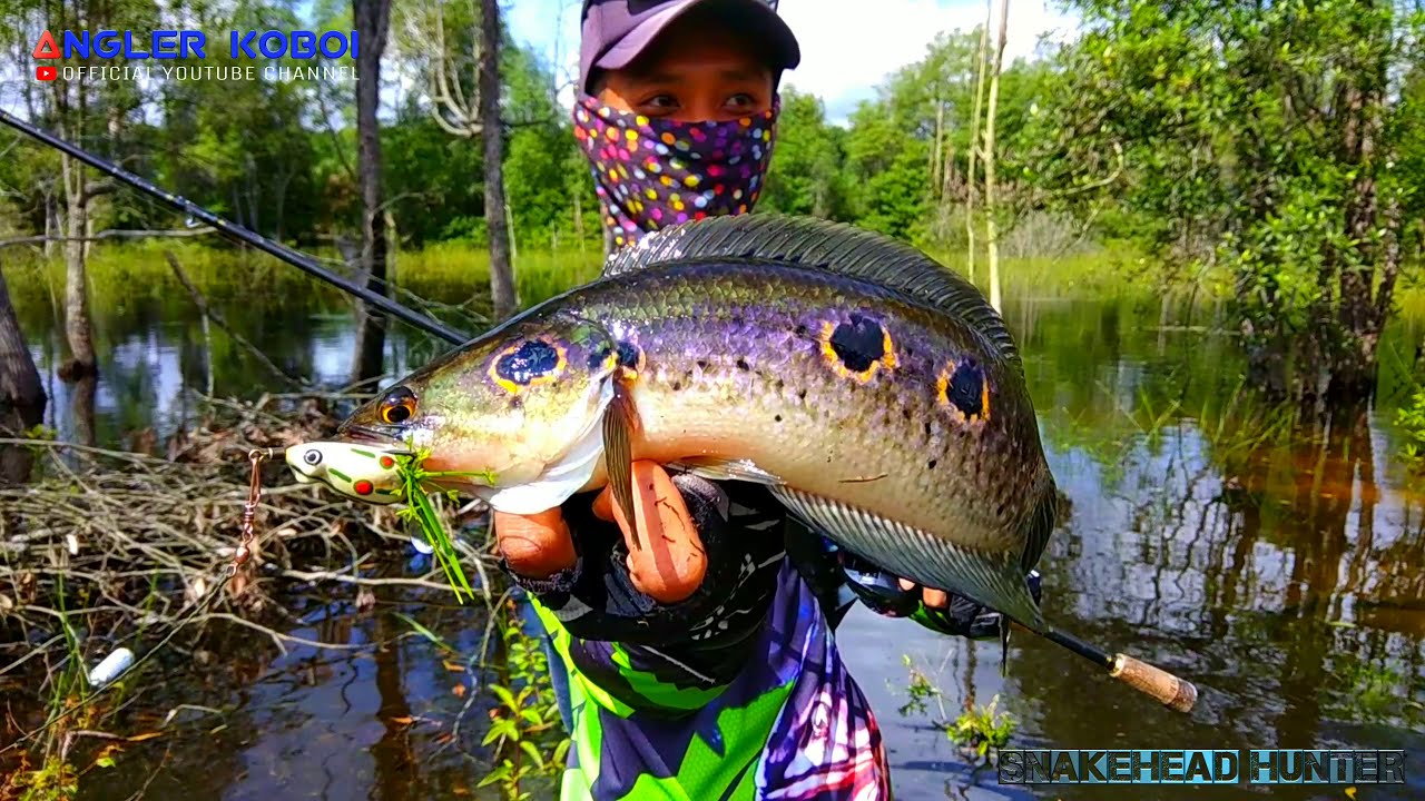 MANCING MANIA - Casting ikan kerandang air hitam sumatera || #Eps-27