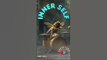 Bees Thrash Sepultura’s Inner Self | Epic Bug Muzak Metal Cover! Part 1 of 2🐝🔥