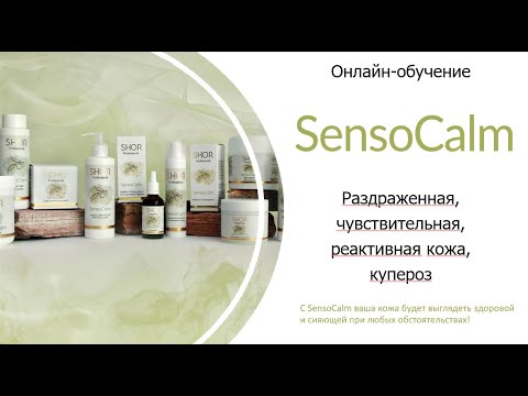 Обучение Sensocalm на русском языке