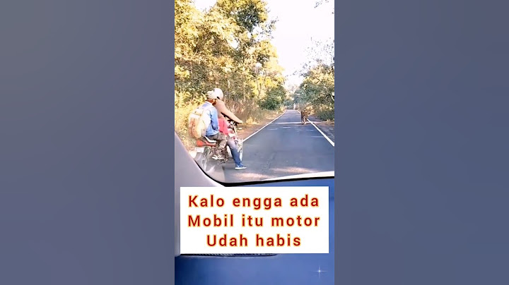 bertemu harimau liar di jalan raya #shorts