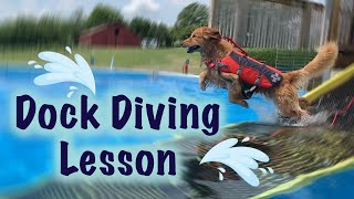 GOLDEN RETRIEVER DOCK DIVING for the 1st time! | Dog Training Sports