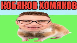 Кобяков Хомяков Кошка Морожка Пончик Дракончик Смурфетта Котлета