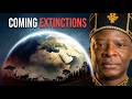 The Coming Extinctions Nobody S Talking About
