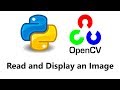 Computer Vision with Python and OpenCV - Reading and Displaying images