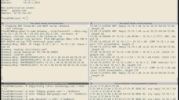 DNS Spoofing on a LAN with ARP Spoofing