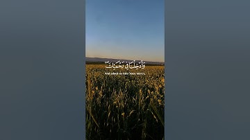 القارئ..ادریس ابکر..سورة الاعراف #اكسبلور #المصحف #لايك #فولو #راحة_نفسية