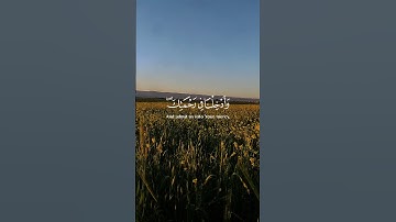 القارئ..ادریس ابکر..سورة الاعراف #اكسبلور #المصحف #لايك #فولو #راحة_نفسية