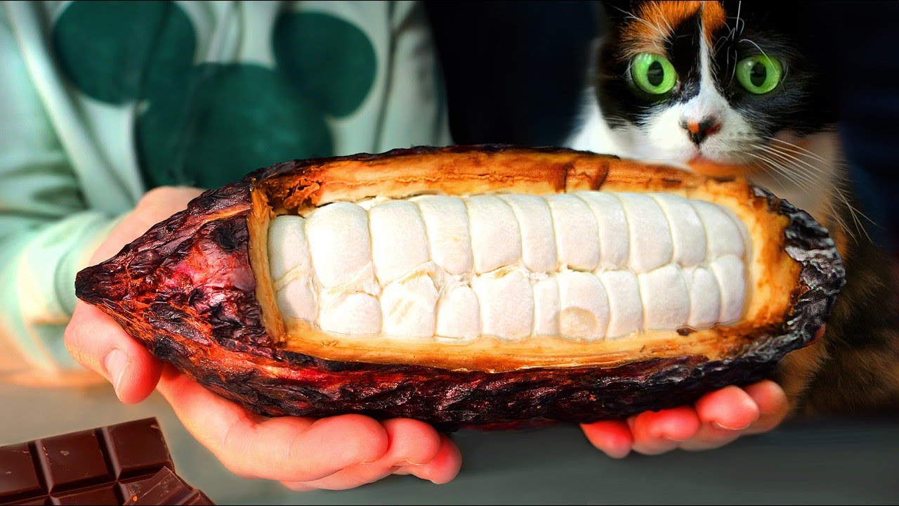 ICH HABE SCHOKOLADE VON GRUND AUF SELBER GEMACHT