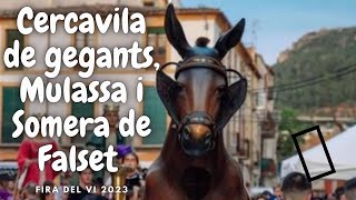 Cercavila dels gegants, Mulassa i Somera de Falset - Fira del Vi 2023