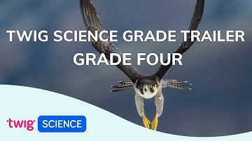 Grade Trailer: Grade Four | Twig Science
