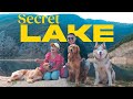Taking max and leo for swimming adventure l sony zve1  the himalayan husky