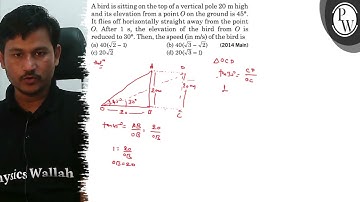 A bird is sitting on the top of a vertical pole 20  m high and its elevation from a point O on th...