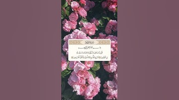 سورة_الأنعام 🧡🤍 {قل ان صلاتي ونسكي ومحياي ومماتي لله رب العالمين }