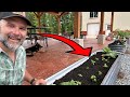 How to build edible landscapes for your home!