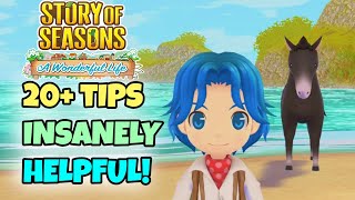 Use These Tips For an AMAZING Play-through in Story of Seasons A Wonderful Life!