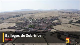 Gallegos de Sobrinos (Ávila)