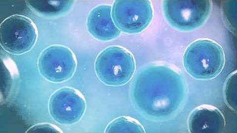 MCB2010C Lab: Isolation of Pure Bacterial Cultures Technique